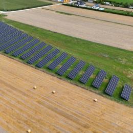 farmy-na-gruncie-1025-3